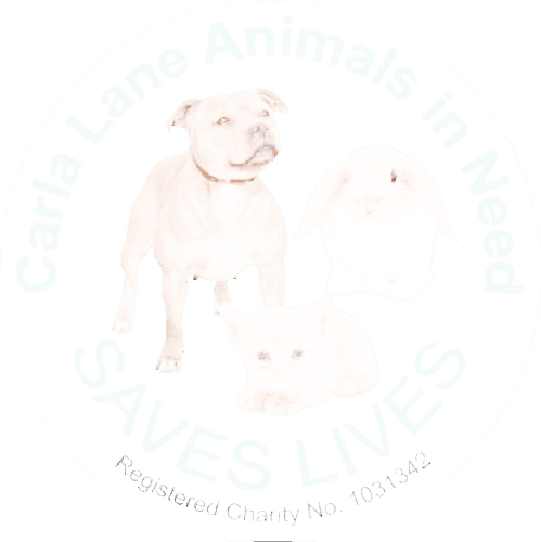 Carla Lane Animals In Need